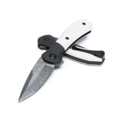 Couteau Buck Paradigm G10 Ivoire/Damas