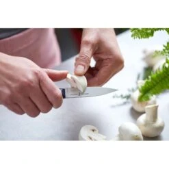 Couteau D'office Opinel Intempora N°225 -Cuisine Couteaux Magasin couteau d office opinel intempora n225 2