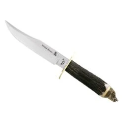 Poignard Muela Wildboar Cerf 16cm Inox En Coffret